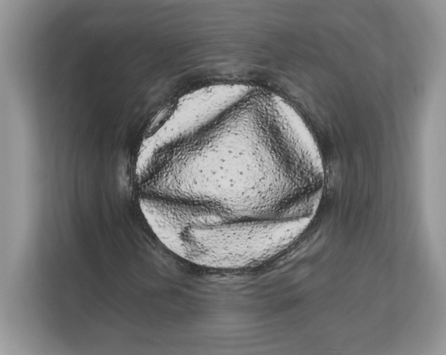 X0000110871202200907091353