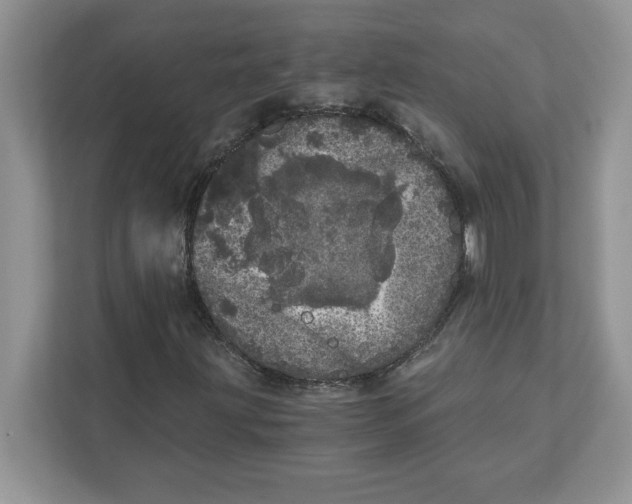 X0000110871203200907091353