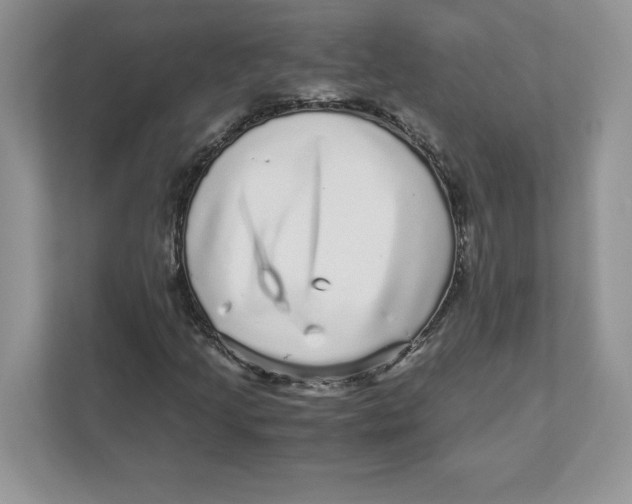 X0000110871205200907091354