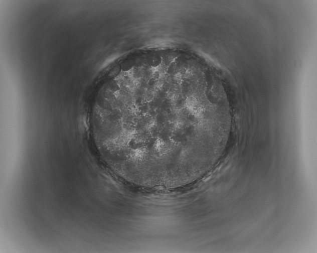 X0000110871206200907091354