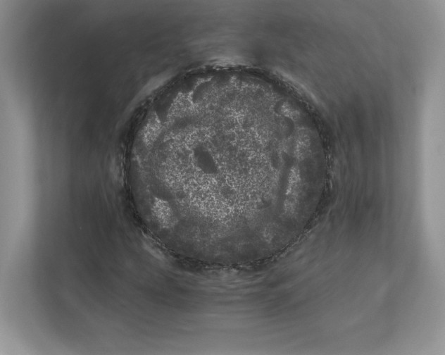 X0000110871207200907091354