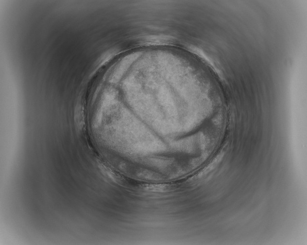 X0000110871211200907091354