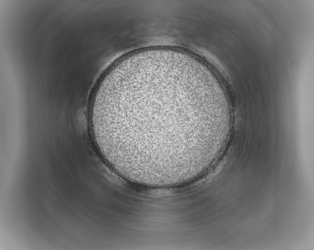 X0000110871212200907091354