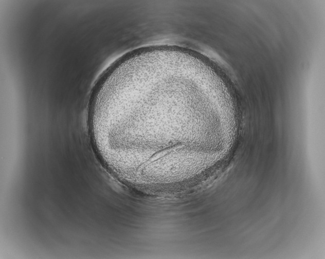 X0000110871216200907091354