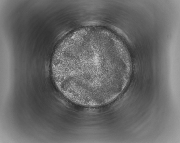 X0000110871217200907091354