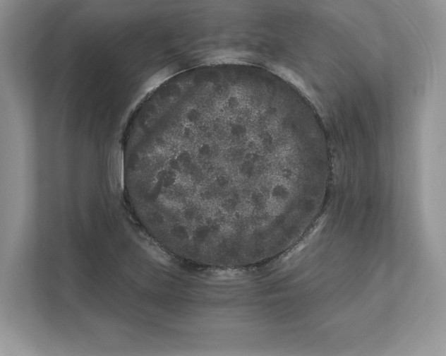 X0000110871219200907091354