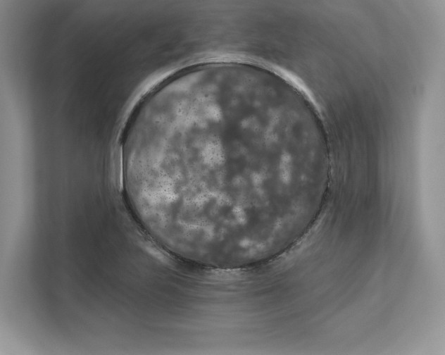 X0000110871223200907091354