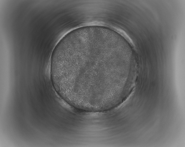 X0000110871228200907091354