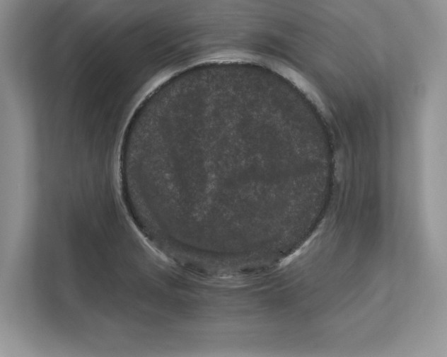 X0000110871229200907091354