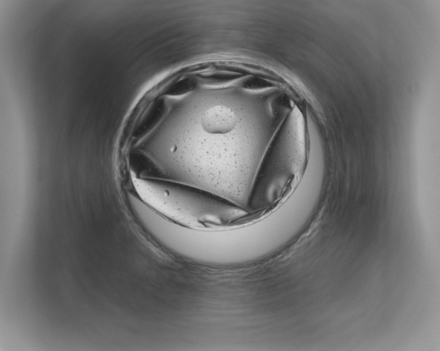 X0000110871230200907091354