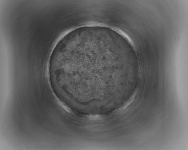 X0000110871231200907091354