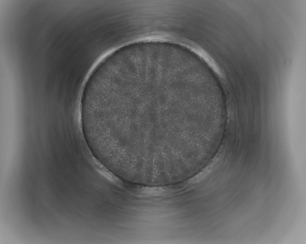 X0000110871232200907091354