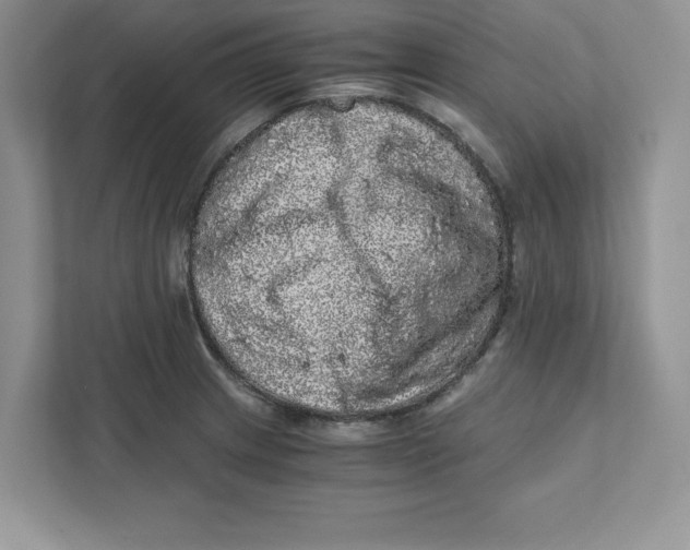 X0000110871233200907091354