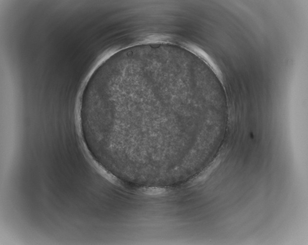 X0000110871235200907091354