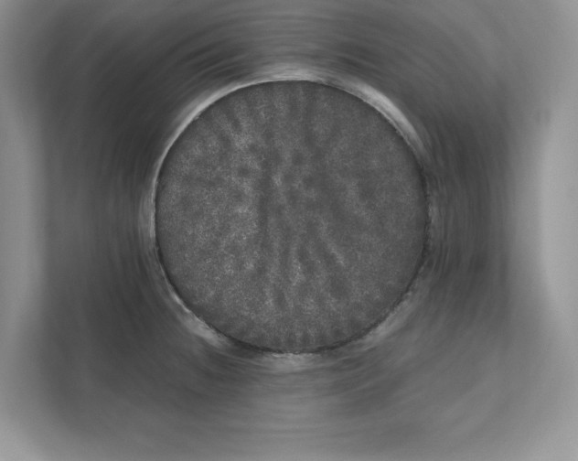 X0000110871236200907091354