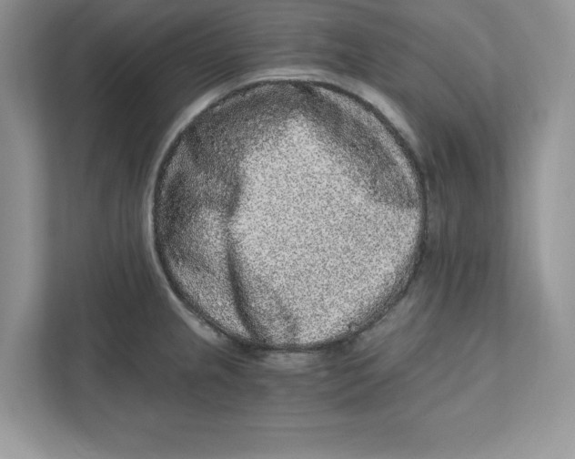 X0000110871237200907091354