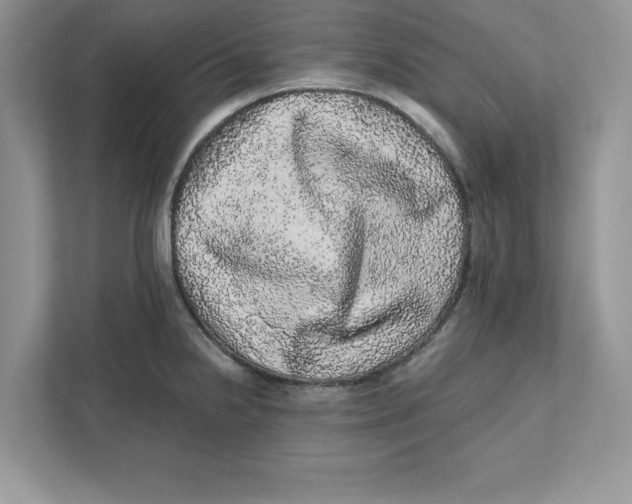 X0000110871238200907091354