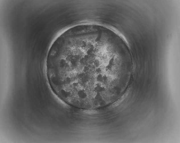 X0000110871239200907091354