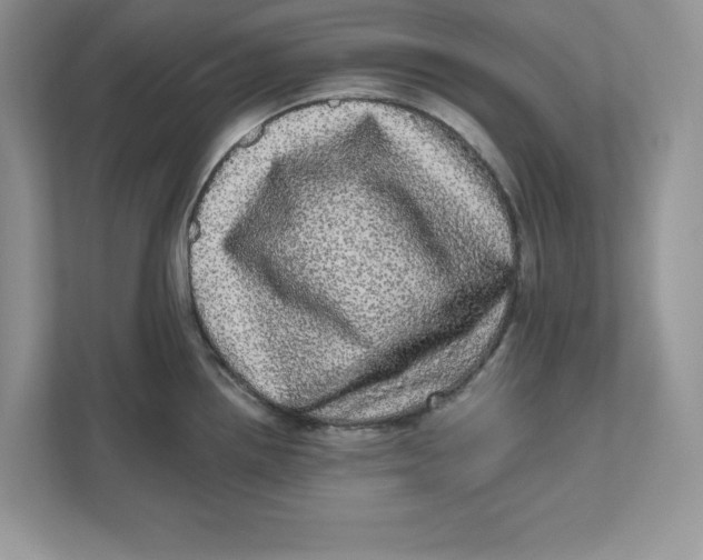 X0000110871242200907091354