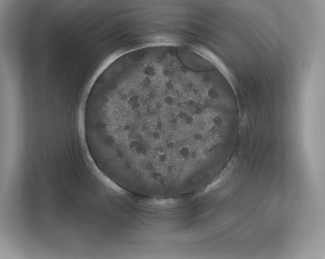 X0000110871243200907091354