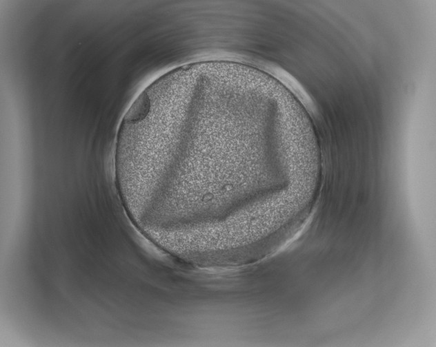 X0000110871244200907091354