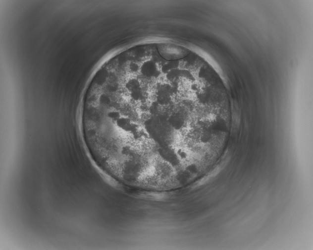 X0000110871245200907091354