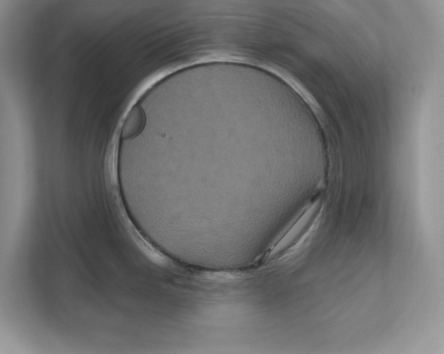 X0000110871246200907091354