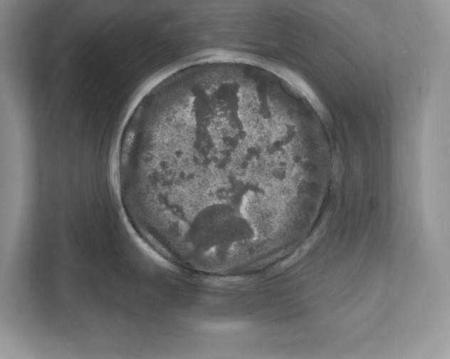 X0000110871247200907091354