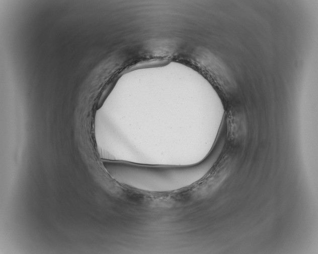 X0000110871249200907091353