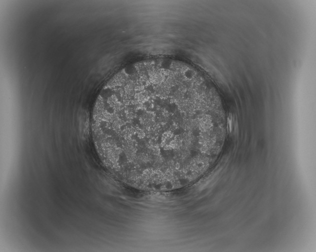 X0000110871251200907091353