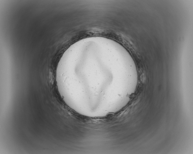 X0000110871253200907091353