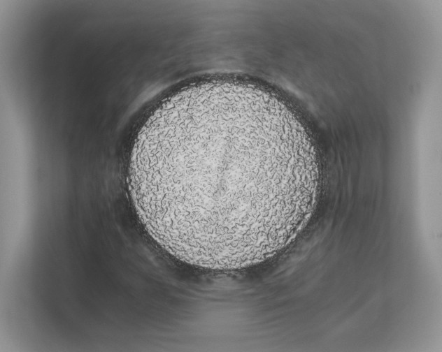 X0000110871255200907091353