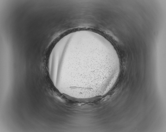 X0000110871256200907091353