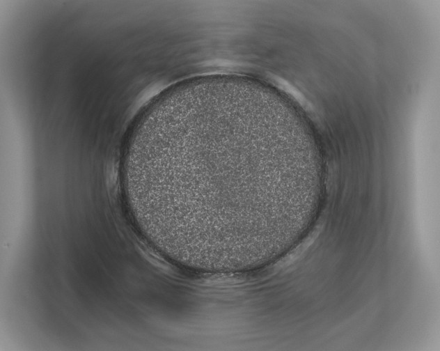 X0000110871259200907091353