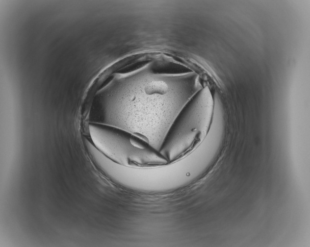 X0000110871260200907091353