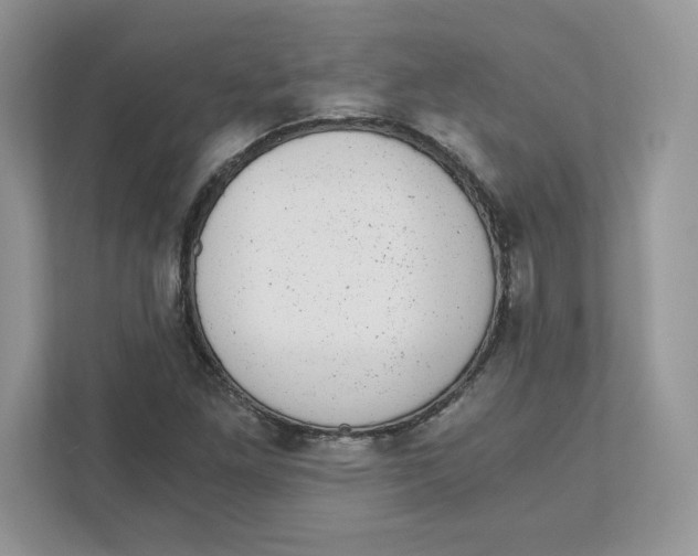 X0000110871261200907091353