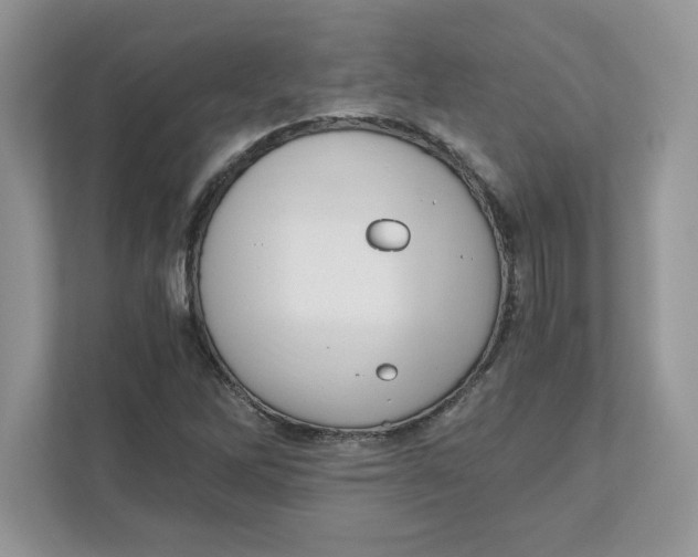 X0000110871262200907091353