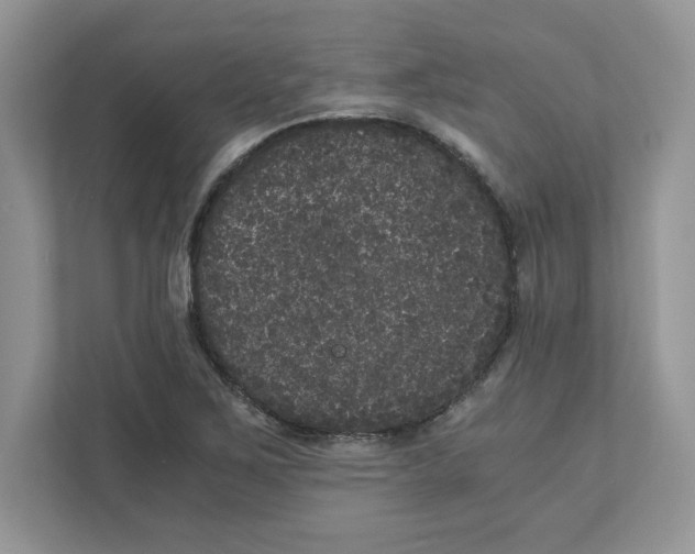 X0000110871267200907091353