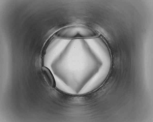 X0000110871268200907091353