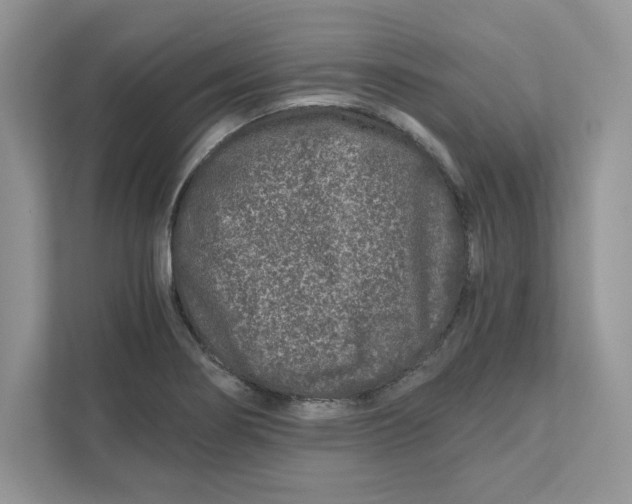 X0000110871274200907091353