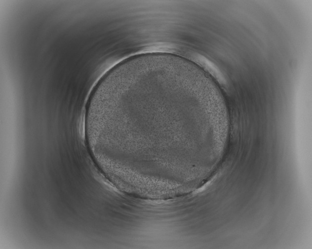 X0000110871276200907091353