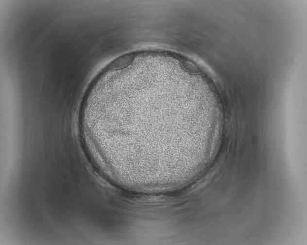 X0000110871279200907091353