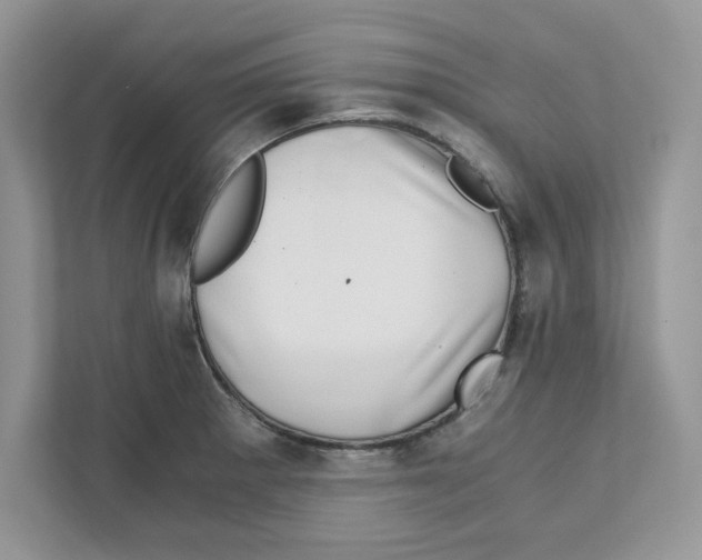 X0000110871281200907091353