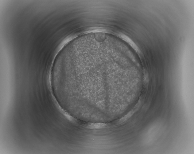 X0000110871282200907091353