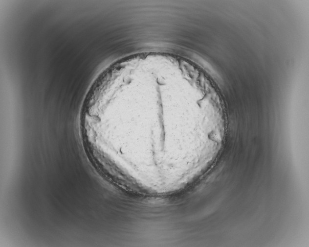 X0000110871283200907091353