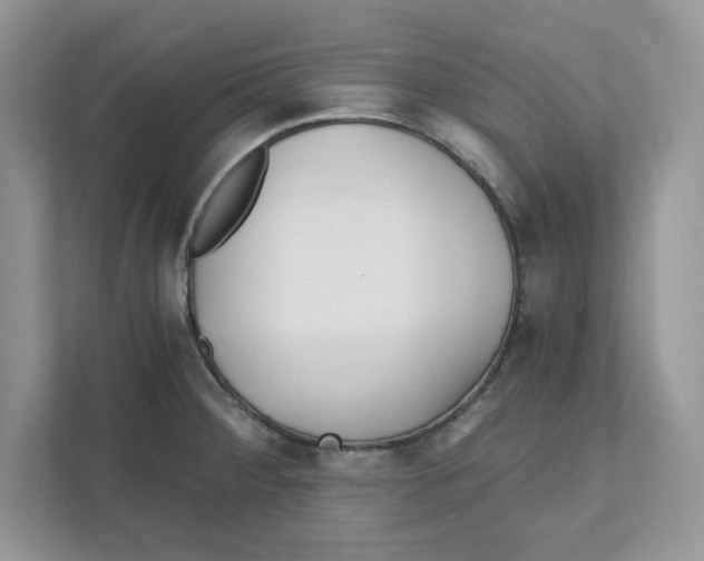 X0000110871284200907091353