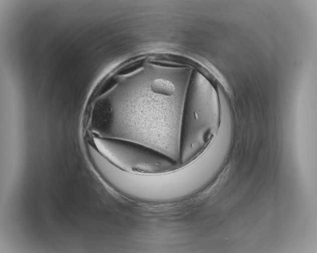 X0000110871285200907091353