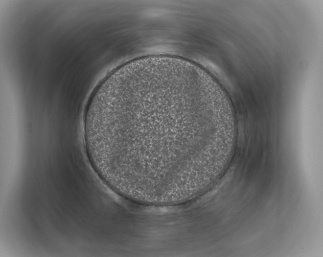 X0000110871286200907091353