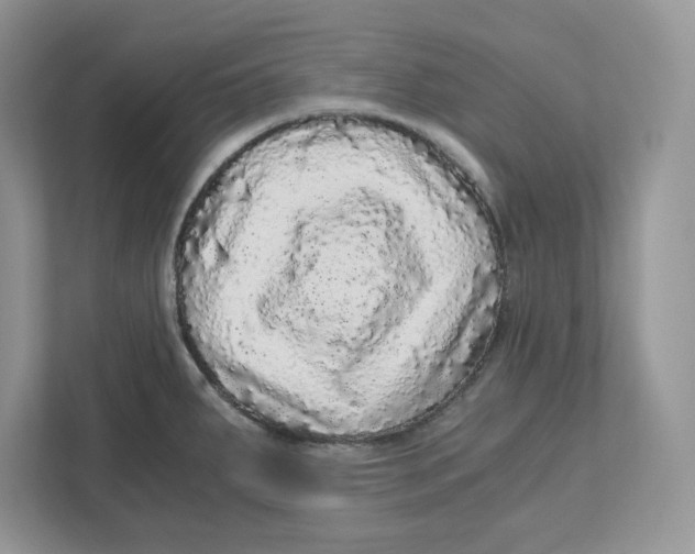 X0000110871287200907091353