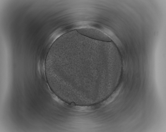 X0000110871289200907091353